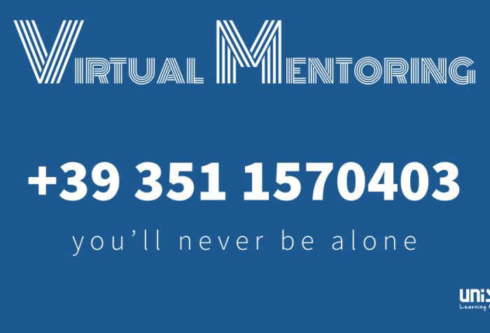 Virtual Mentoring