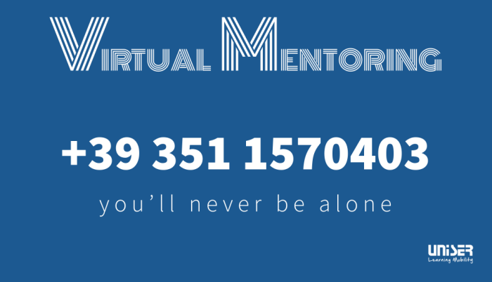 Virtual Mentoring