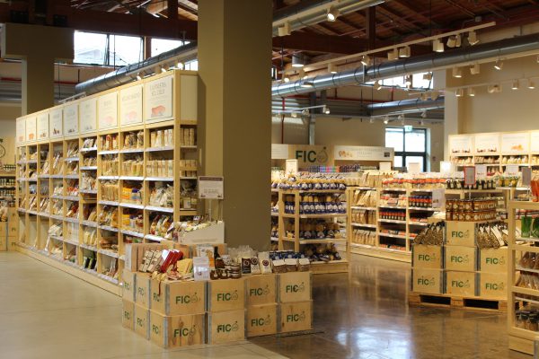 Cultural Visit at Fico